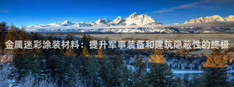 美高梅会员卡图片