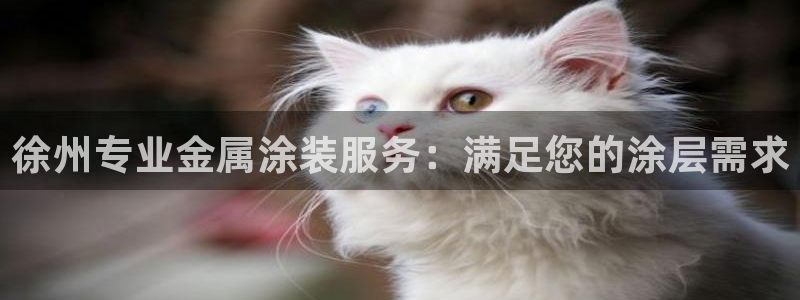 美高梅为什么取不了款