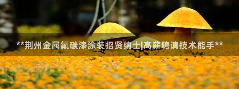 美高梅大厦