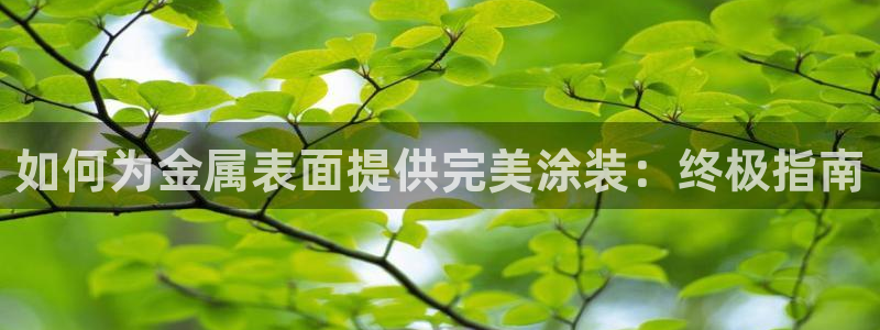 美高梅股票代码02282
