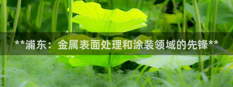 美高梅直营正网