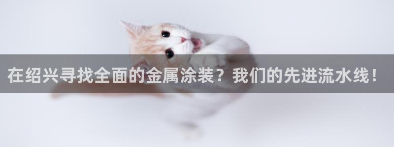 美高梅空气炸锅怎么样