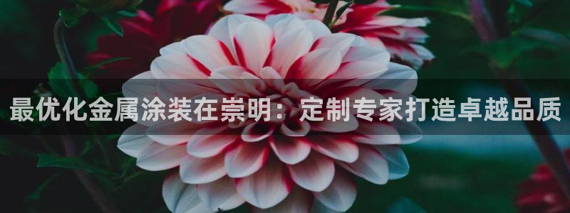 美高梅酒店集团旗下品牌有哪些