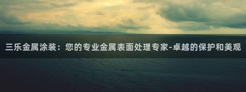美高梅公司的业务范围