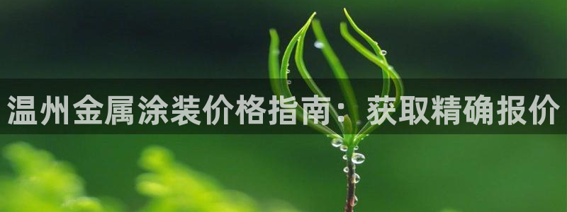 美高梅北京国际文化旅游发展有限公司
