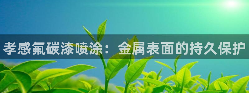 美狮美高梅酒店风水