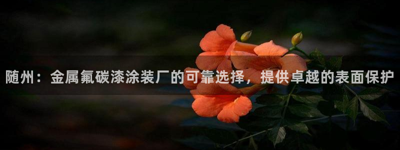 美高梅是什么意思啊