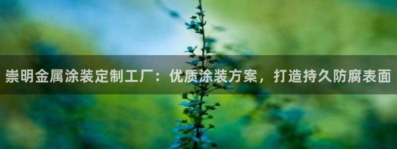 美高梅会员卡级别分类
