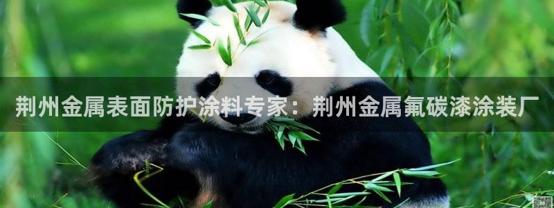 美高梅会员卡用途