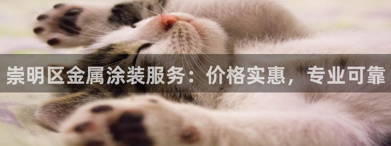 美高梅何超琼年薪