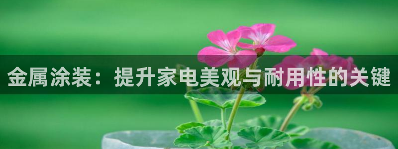 美狮美高梅酒店二楼水疗