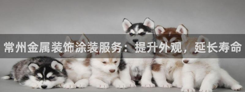 美高梅酒店年卡