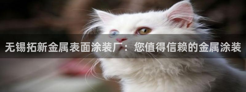 美狮美高梅酒店是几星