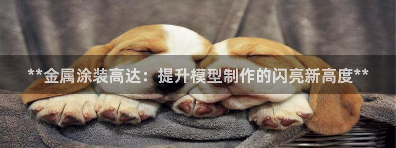 美高梅离永利皇宫多远
