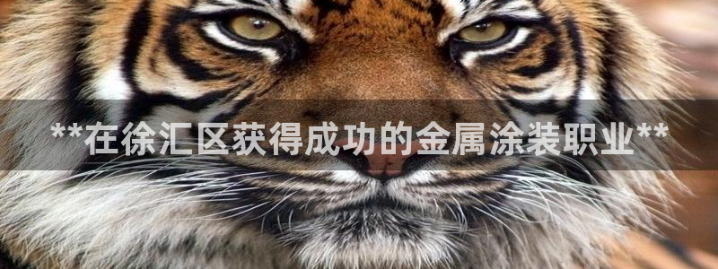 美高梅酒店评价