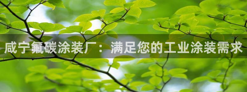 美高梅客户服务中心