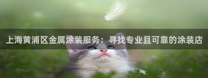 美高梅酒店集团是哪个国家的
