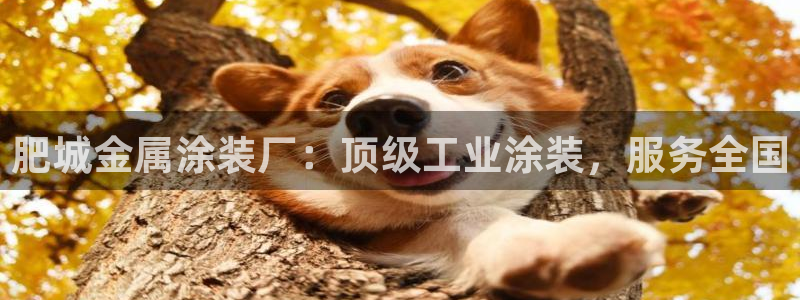 美高梅偶遇何超琼