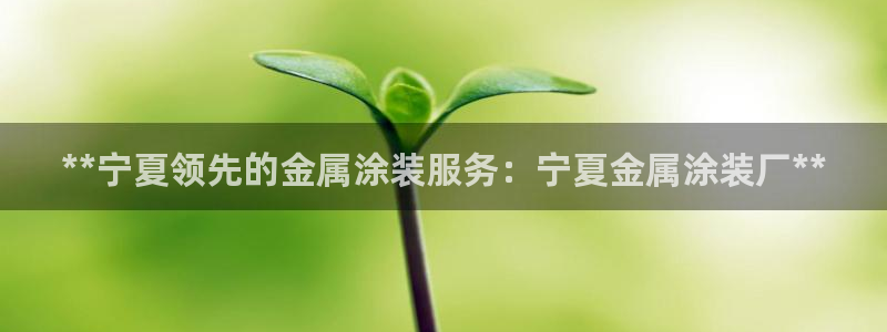 美高梅酒店投资多少钱
