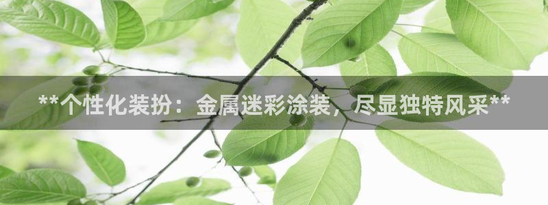美高梅国际酒店集团资产