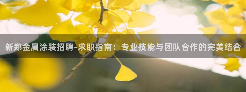 美高梅中国集团简介