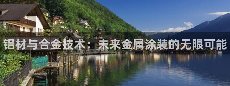 美高梅酒店集团简介