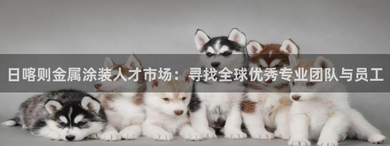 美高梅官网账号是什么