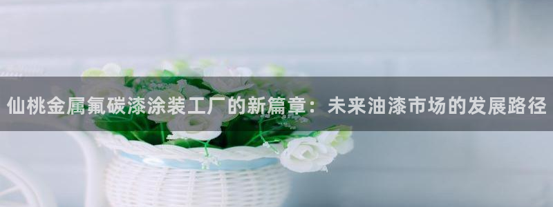 美高梅酒店空中海洋秀