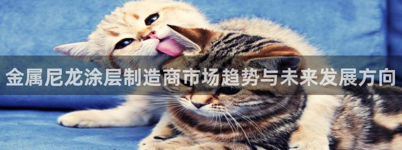 美高梅别墅在哪里