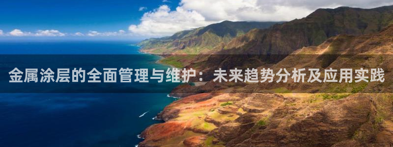 鲁能钓鱼台美高梅公馆户型图