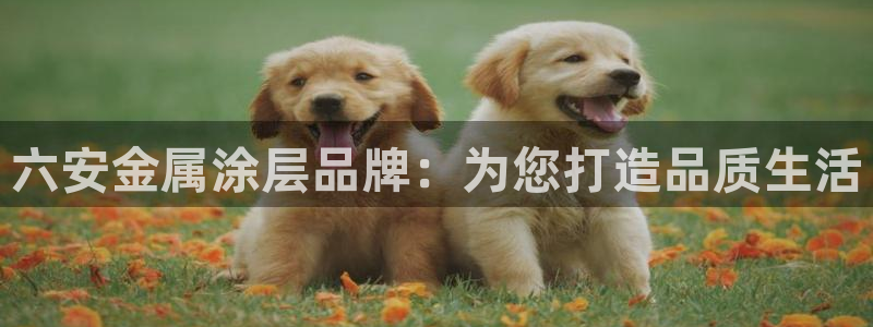 美高梅大酒店花园体育馆