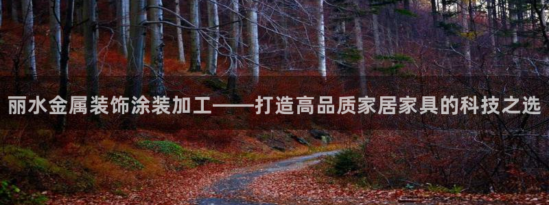 美高梅筹码图片高清