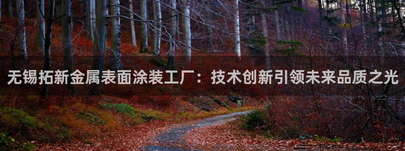 美高梅大酒店多少层