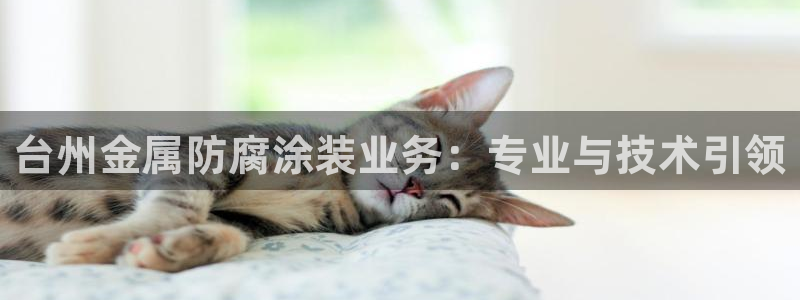 美高梅度假酒店攻略