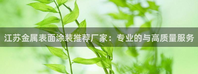 美高梅酒店有什么好玩的