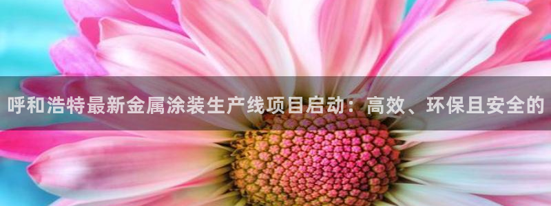 美高梅空中海洋秀是免费的吗：呼和浩特最新