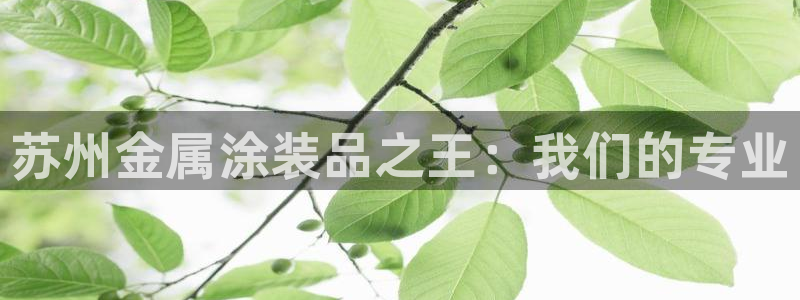 美高梅酒店老板是谁