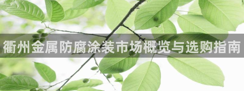 美高梅客户服务中心