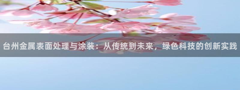 美高梅公司怎么样