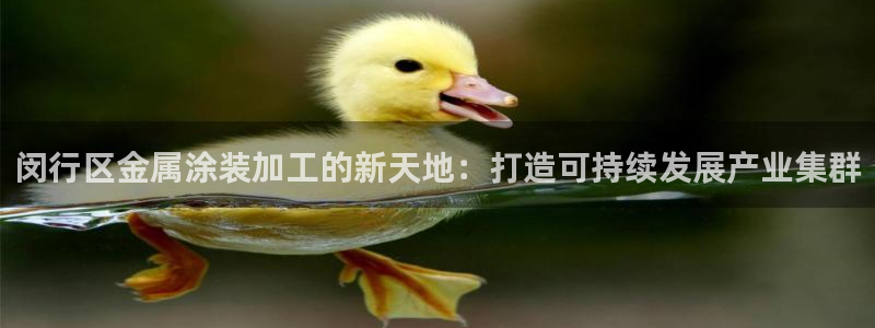 美高梅和美狮美高梅有什么区别
