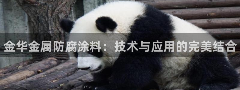 美狮美高梅和美高梅有什么区别