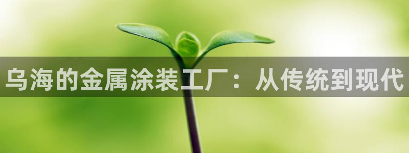 美高梅大酒店创始人