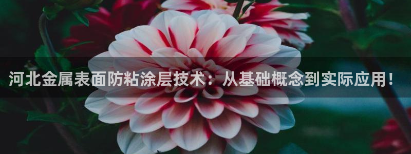 美高梅会员卡颜色区别