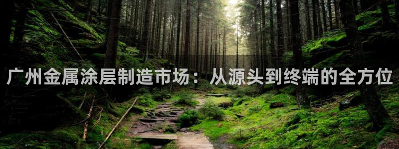 美高梅筹码图片