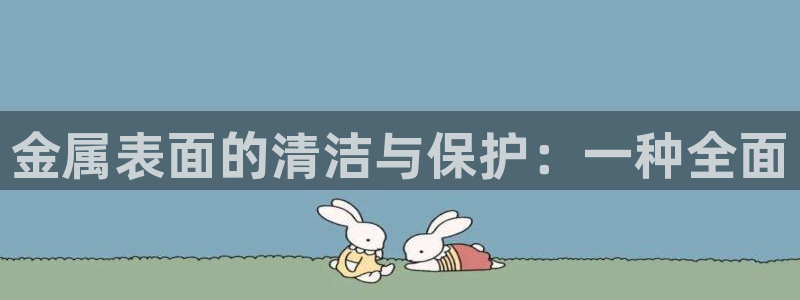 澳门新开美高梅的酒店