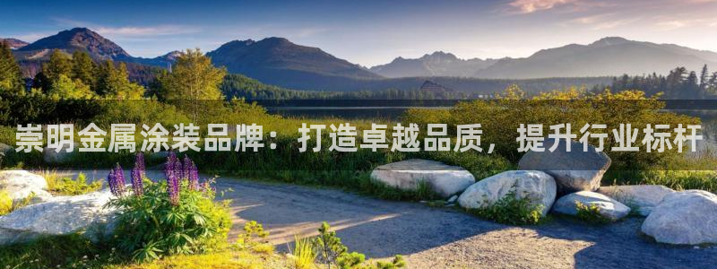 美高梅登录不上去了