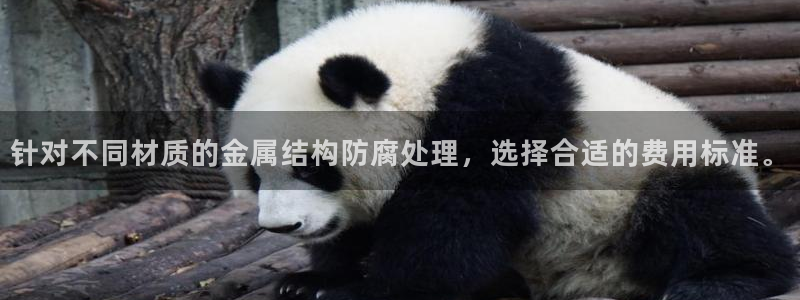 美高梅公司游戏注册网址是多少