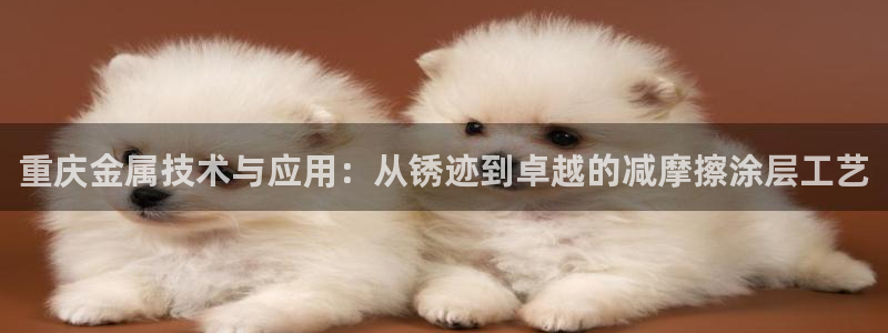 美高梅大酒店地址