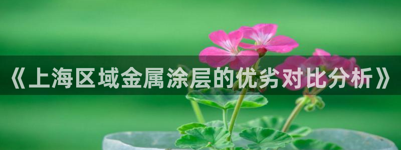 美高梅酒店在哪个区