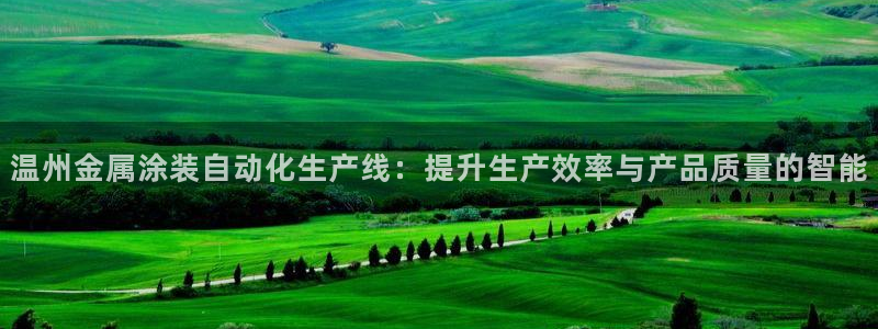 美高梅大酒店自助